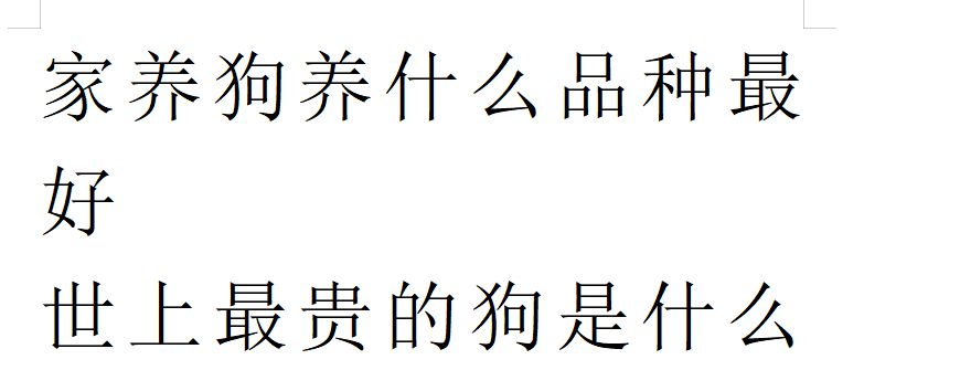 适合在城市中养的6种狗狗不需要大量户外运动也可以安心养狗